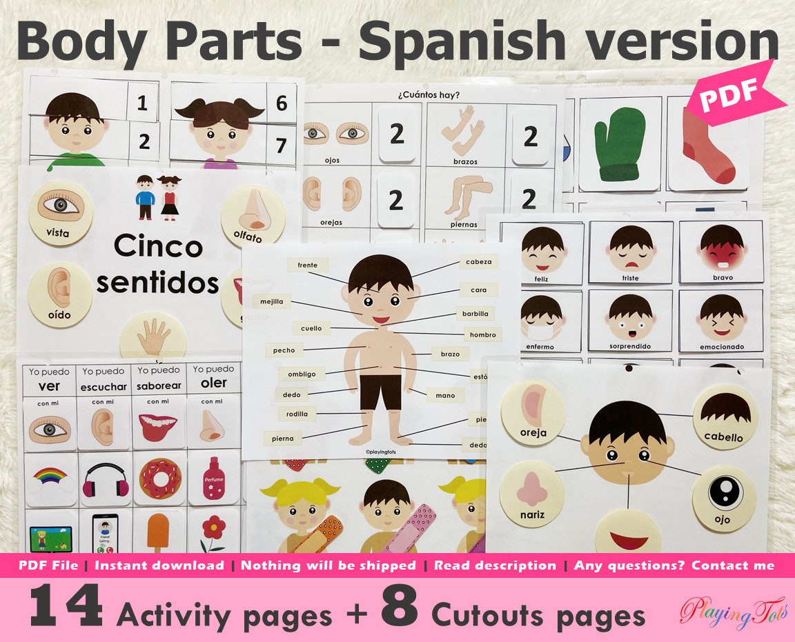 Parts Of The Body In Spanish Diagram