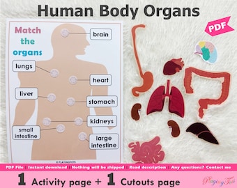 Body Organs Matching Activity Printable for Kids, Human Anatomy Activity, Busy Books Pages, Learning Binder Pages, Homeschool Resource
