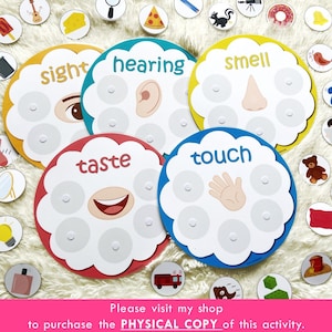 Five Senses Sorting Activity Printable, 5 Senses Sorting, Homeschool Resource, Busy Bags Activity, Toddlers and Preschoolers image 8