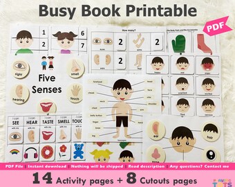 Body Parts Printable Pack for Toddlers, Toddler Busy Book, Learning Folder, Homeschool Materials, Busy Book Pages, Learning Binder