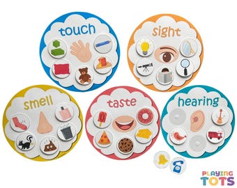 Actividad imprimible para clasificar los cinco sentidos, Clasificación de los 5 sentidos, Recurso para la educación en casa, Actividad para bolsas de actividades, Niños pequeños y preescolares