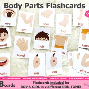 Tarjetas didácticas de partes del cuerpo imprimibles, tarjetas Montessori de 3 partes, tarjetas didácticas para niños pequeños, tarjetas flash Montessori, recursos para educación en el hogar, tarjetas de aprendizaje