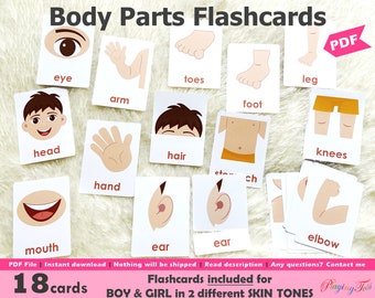 Body Parts Flashcards Printable, Montessori 3 Part Cards, Toddler Flashcards, Montessori Flash cards, Homeschool Resources, Learning Cards