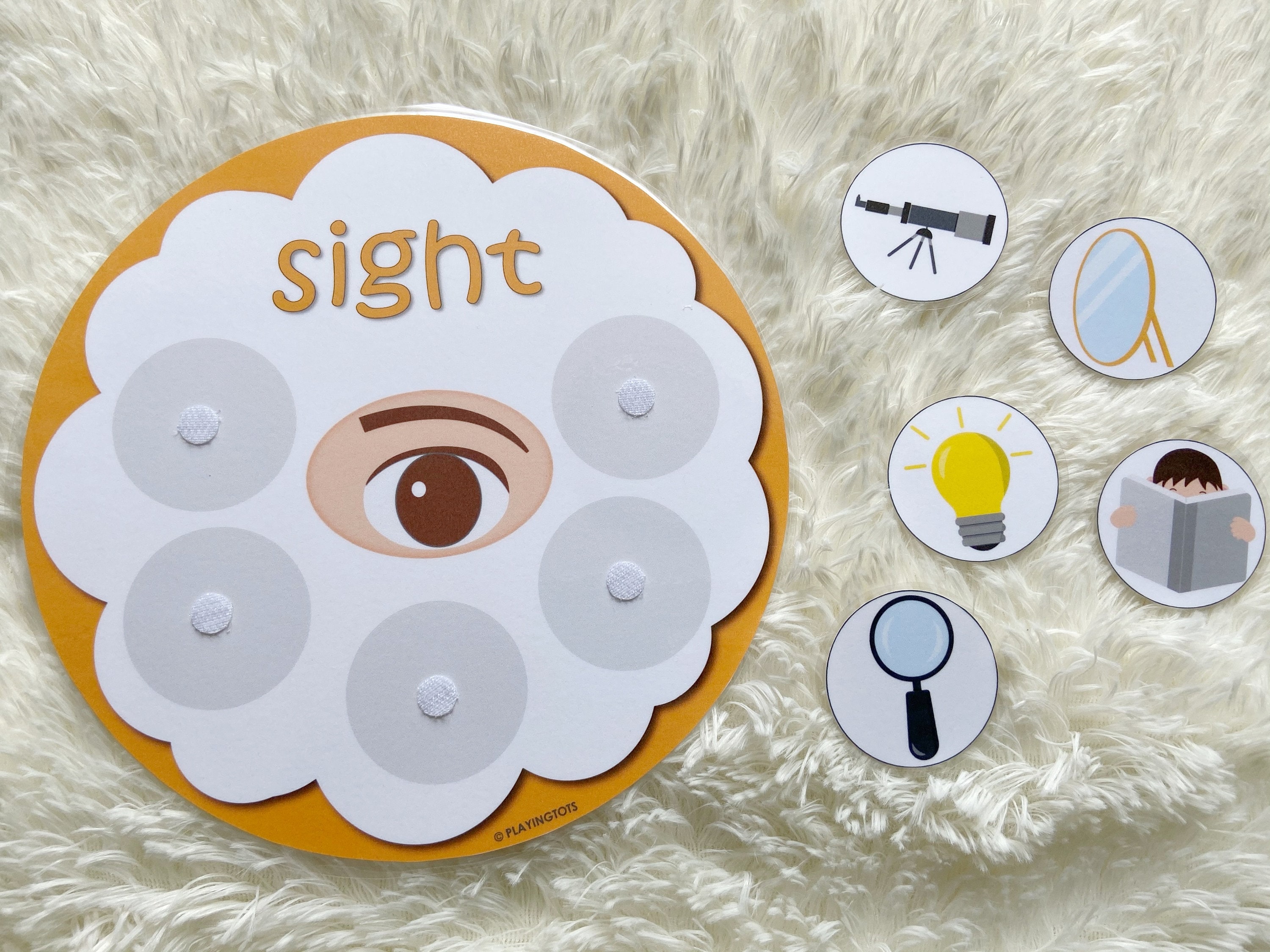 Five Senses Sorting Activity Printable 5 Senses Sorting | Etsy