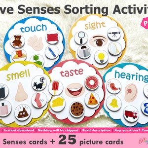 Five Senses Sorting Activity Printable, 5 Senses Sorting, Homeschool Resource, Busy Bags Activity, Toddlers and Preschoolers image 1