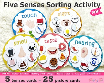 Five Senses Sorting Activity Printable, 5 Senses Sorting, Homeschool Resource, Busy Bags Activity, Toddlers and Preschoolers