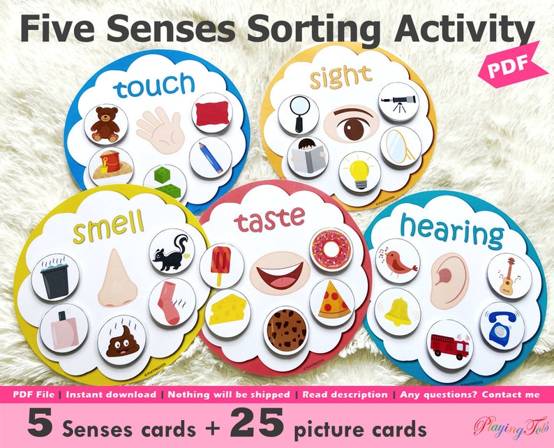Five Senses Sorting Activity Printable, 5 Senses Sorting, Homeschool Resource, Busy Bags Activity, Toddlers and Preschoolers image 1