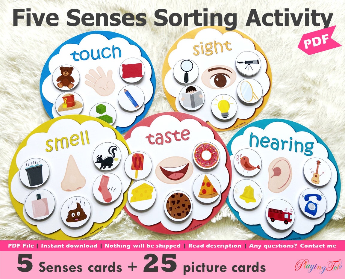 Five Senses Sorting Activity Printable Senses Sorting 