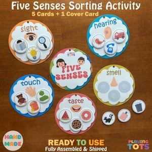 Five Senses Sorting Activity, Fully Assembled, Toddlers, Preschool, Pre-K, Busy Bags