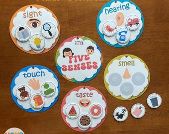Five Senses Sorting Activity, Fully Assembled, Toddlers, Preschool, Pre-K, Busy Bags