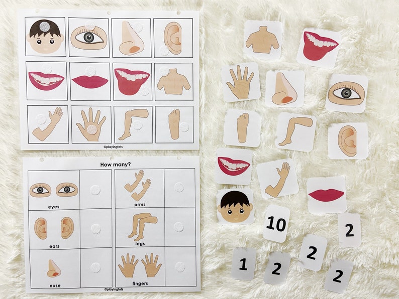 Body Parts Printable Pack for Toddlers Toddler Busy Book Etsy