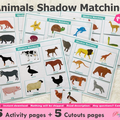 Animals Shadow Matching Activity Printable Silhouette Match - Etsy Australia Animals Shadow Matching Activity Printable Silhouette Match - Etsy Australia
