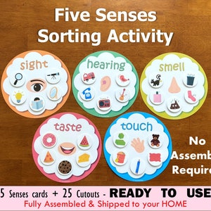Five Senses Sorting Activity, Fully Assembled, Learn 5 Senses, Toddlers and Preschoolers, Homeschool Resource, Preschool Activities