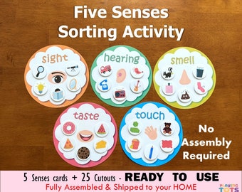 Five Senses Sorting Activity, Fully Assembled, Learn 5 Senses, Toddlers and Preschoolers, Homeschool Resource, Preschool Activities