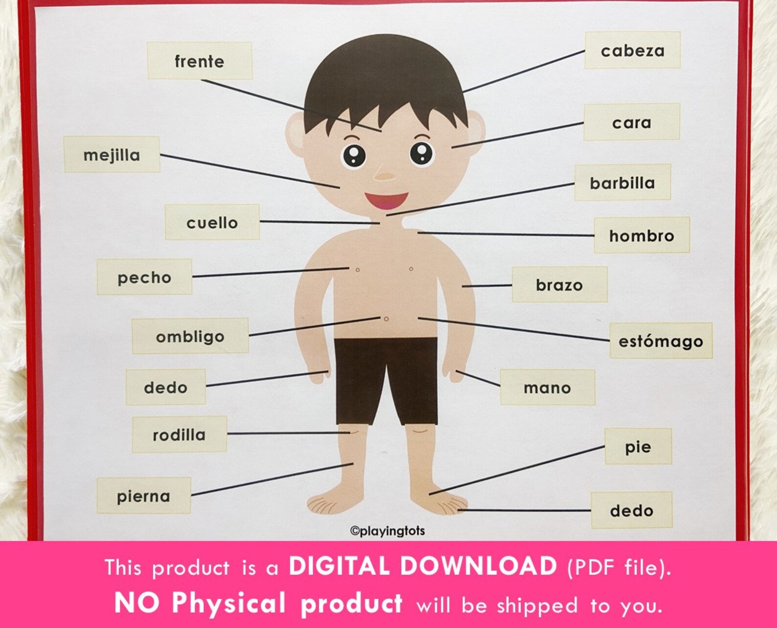Body Parts Printable in Spanish Toddler Busy Books Activity - Etsy