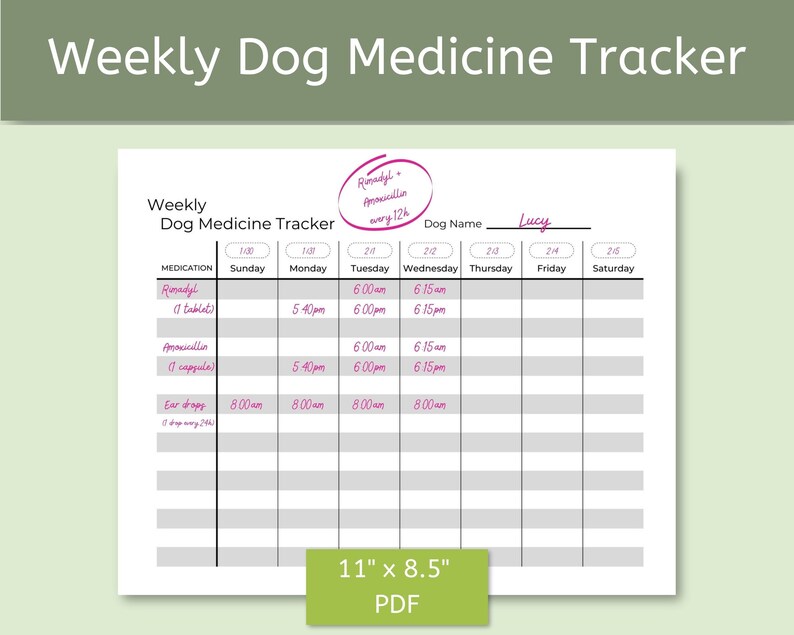 Weekly Dog Medicine Tracker Printable PDF Instant Download - Etsy