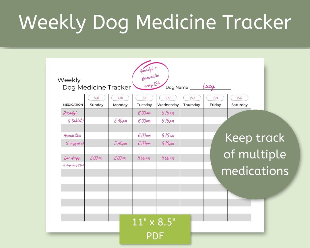 Weekly Dog Medicine Tracker Printable PDF Instant Download - Etsy