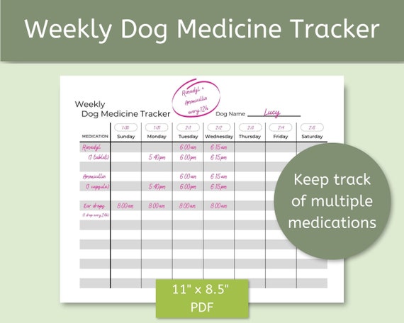 Weekly Dog Medicine Tracker Printable PDF Instant Download | Etsy