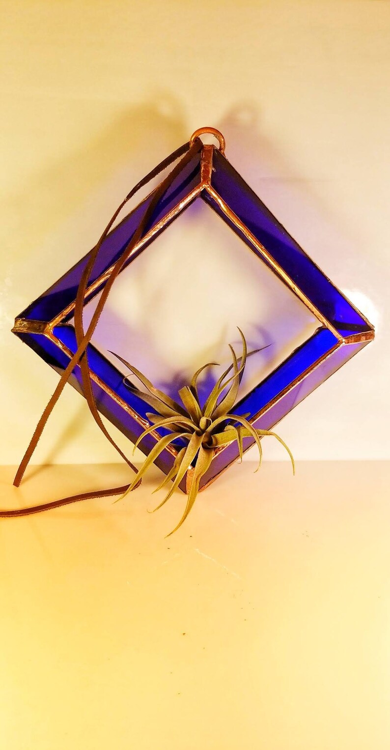Air Plant Holder Hanging Stained Glass Etsy