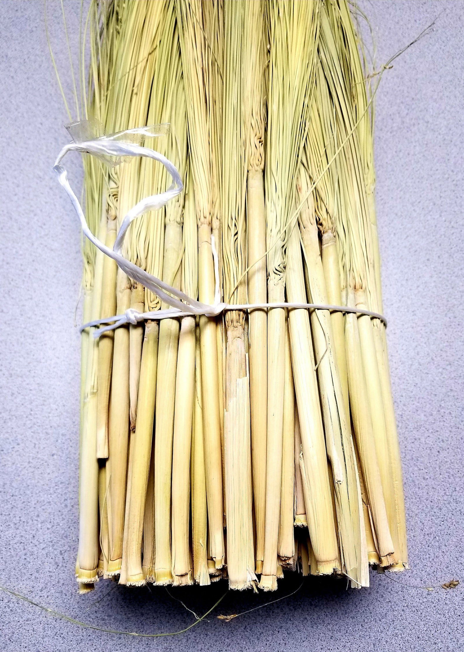 Craft Broomcorn With Stalks 2 Pound Bundle 2436 Etsy