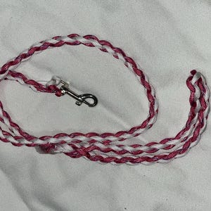 Small Dog leash