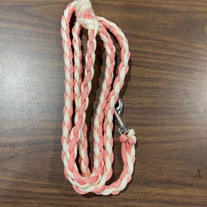 Small Dog leash