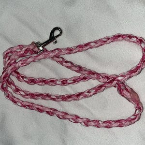 Small Dog leash