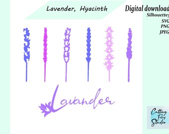 Lavanda Para camiseta archivos de corte SVG, imágenes prediseñadas de lavanda, SVG para cortar, descarga digital de lavanda, jacinto, flores de Provenza, flor de Italia