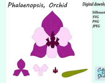 Orchid Svg Etsy
