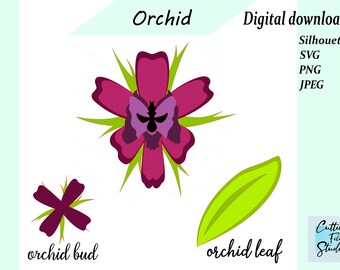 Orquídea SVG para máquinas de corte, Orquídea descarga instantánea para cortar, Scrapbook svg archivos de corte, Corte Phalaenopsis, Flores de papel svg para cortar,