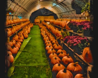 Digital Print of Pumpkins for Fall