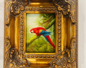 Cuadro antiguo de loro con marco de madera estilo barroco dorado, 6,5 x 7 pulgadas, vibrante.