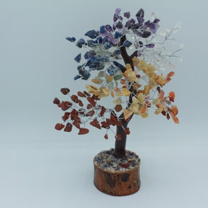 May include: A crystal tree with a wooden base and a variety of colored crystals, including red, orange, yellow, green, blue, indigo, and violet.