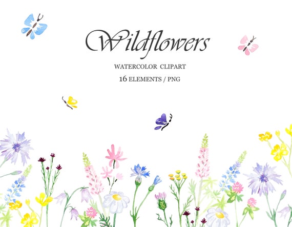 Wildblumen Aquarell Clipart Einfache Wilde Blumen Und Etsy