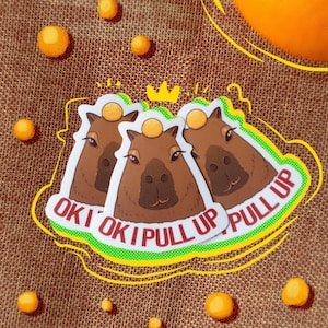 Adesivo Capivara OK EU PULL UP