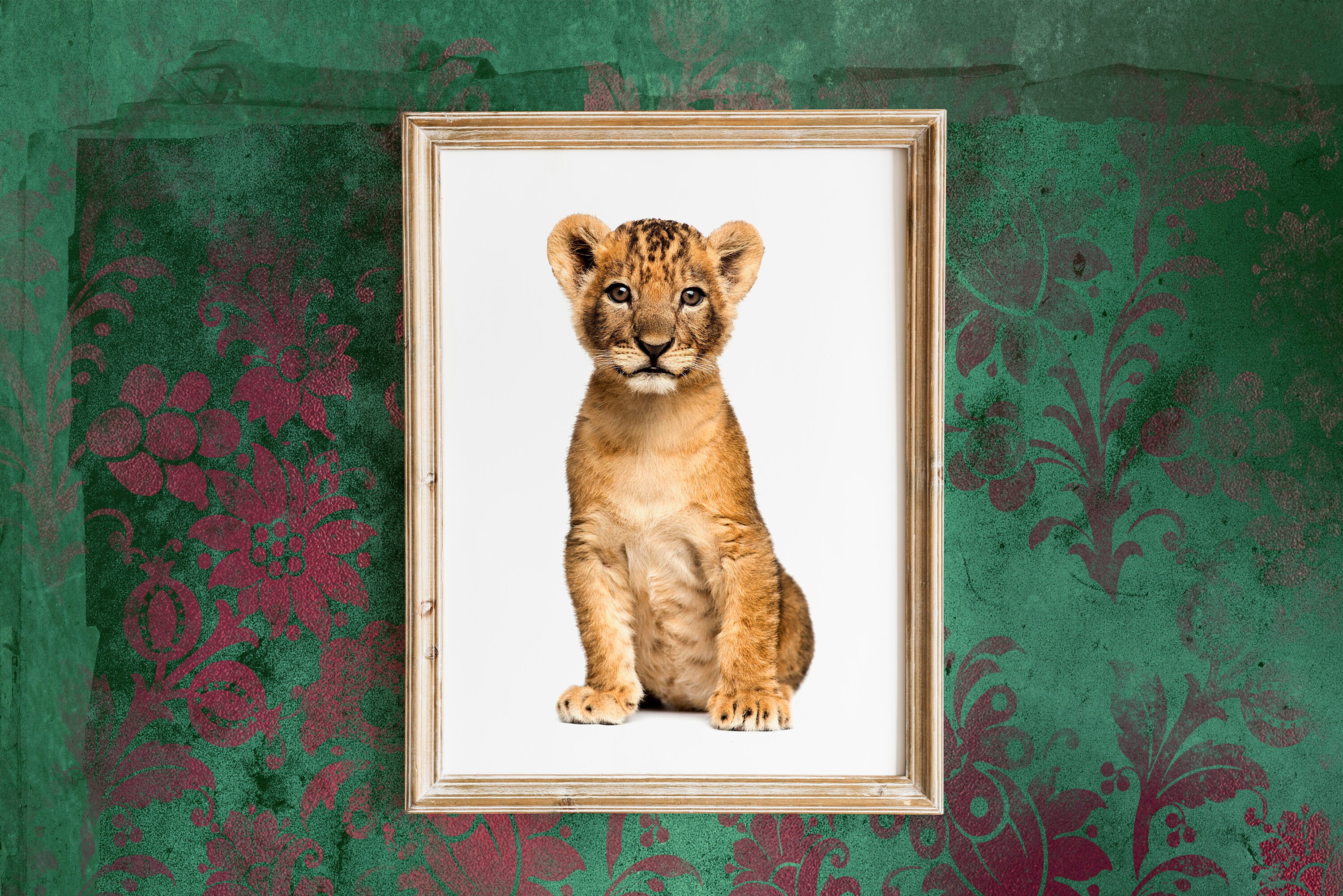 Baby Lion Print Baby Lion Wall Art Lion Cub Print Nursery Baby Etsy