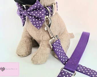 Purple polka dot/spotty dog collar, lead and bow tie set