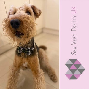 Puede incluir: Un perro Airedale Terrier marr&oacute;n y tostado con una pajarita de cuadros negros y verdes. El perro est&aacute; mirando hacia arriba y tiene una expresi&oacute;n feliz en su rostro. El perro est&aacute; sentado en un suelo de baldosas. La imagen est&aacute; recortada para mostrar la cabeza y los hombros del perro.