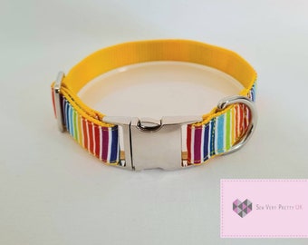 Rainbow stripe/LGBTQ/Pride dog/puppy collar, small-large accessories