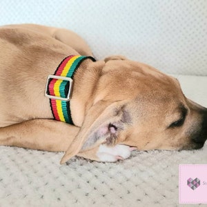 May include: A brown and white puppy dog is lying on a white fluffy surface. The dog is wearing a black and green striped collar with a silver buckle. The collar has red, yellow, and green stripes.