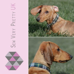 Puede incluir: Un perro dachshund marr&oacute;n con un collar de cuadros verdes y negros. El perro est&aacute; tumbado en la hierba y mirando hacia un lado. El texto "Sew Very Pretty UK" est&aacute; en el fondo.