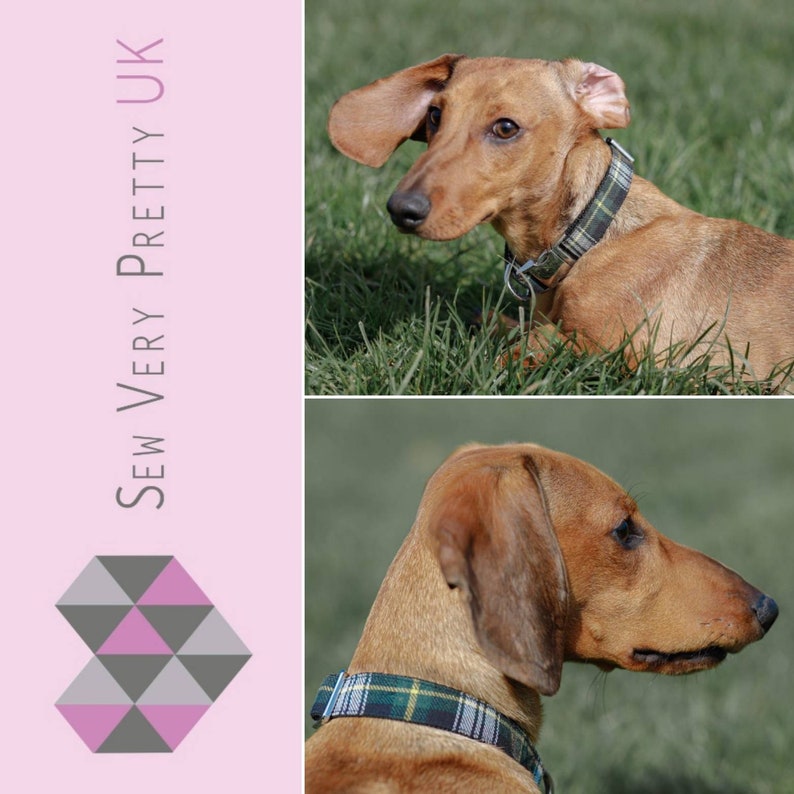 Puede incluir: Un perro dachshund marr&oacute;n con un collar de cuadros verdes y negros. El perro est&aacute; tumbado en la hierba y mirando hacia un lado. El texto "Sew Very Pretty UK" est&aacute; en el fondo.