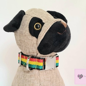 May include: A plush toy pug wearing a colorful dog collar with a silver buckle. The collar has red, yellow, green, and black stripes.