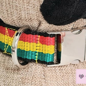 May include: A black, red, yellow, and green striped dog collar with a silver buckle and D-ring.