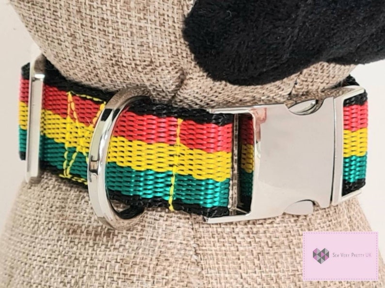 May include: A black, red, yellow, and green striped dog collar with a silver buckle and D-ring.