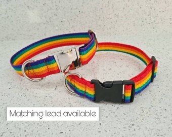Può includere: Un collare per cani arcobaleno con una fibbia argentata e un guinzaglio abbinato. Il collare ha una fibbia in plastica nera.