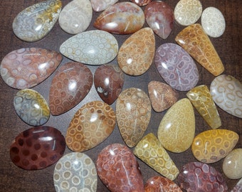 43x27x6 MM Oval Cabochon 55 CTS Beautiful Scenic Cabochons Black Fossil Coral #A-516
