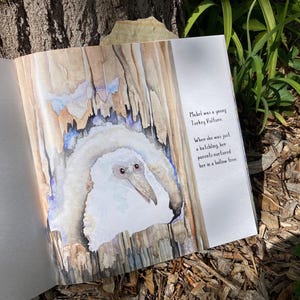 May include: An open book with a watercolor illustration of a young turkey vulture in a hollow tree. The bird is white with a long beak and dark eyes. Text on the page reads, "Mabel was a young Turkey Vulture."