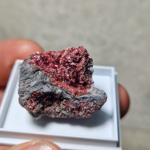 Erythrite crystals bou azzer ouarzazate Morocco 9.82gr 2.5 cm