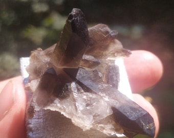 Morion quartz Smoky quartz 19.85 gr U.S.A. natural chakra crystal healing minerals collection